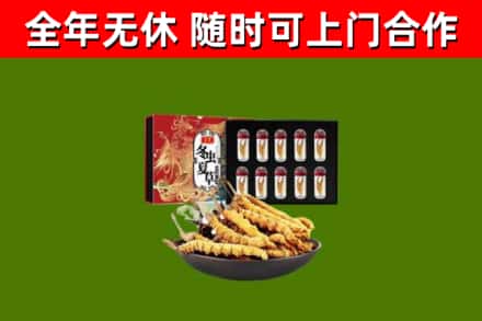 苏尼特左烟酒回收冬虫夏草礼盒.jpg