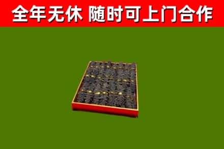 苏尼特左回收海参
